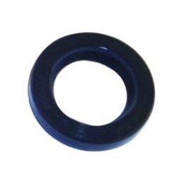 Oil seal
