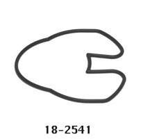 O-ring