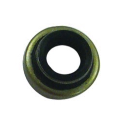 Oil seal