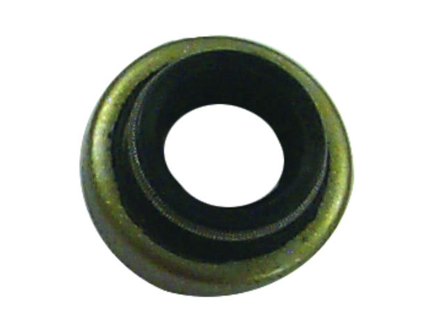 Oil seal